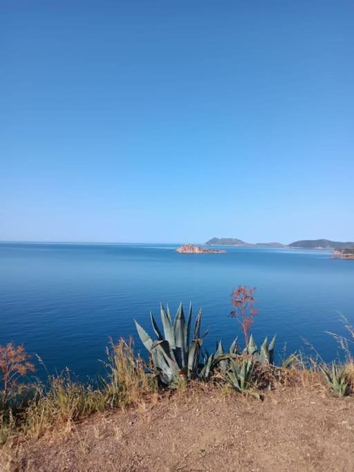 Gli Appartamenti Di Francuzzo Теулада Экстерьер фото